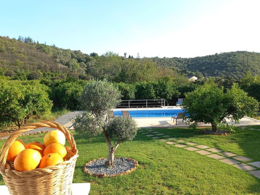 Casa Citrus Limao - Between The Hills & The Ocean Silves Exterior foto