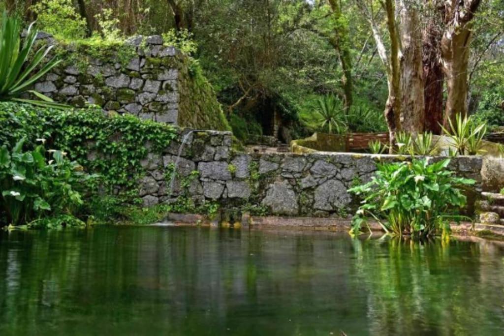 Casa Citrus Limao - Between The Hills & The Ocean Silves Exterior foto